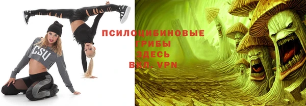 СК Зеленокумск