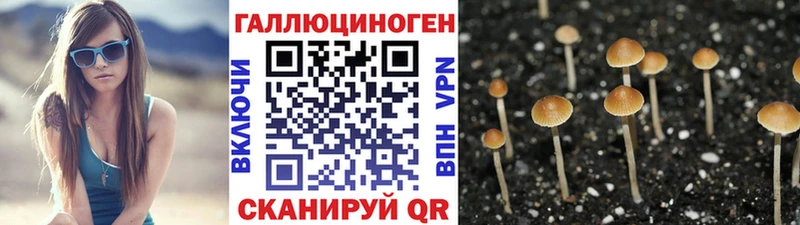 Псилоцибиновые грибы GOLDEN TEACHER  Купить где  Навашино 
